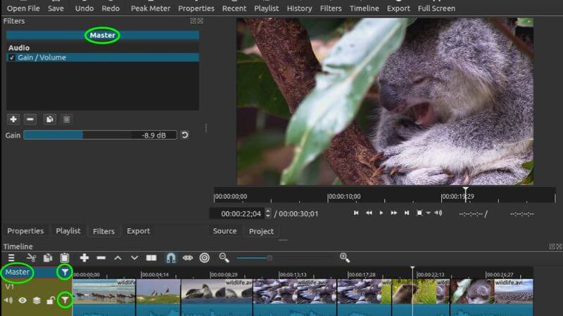 What is the best video editing software for Mac